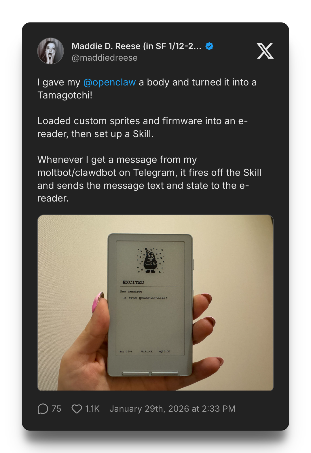 Tweet about custom tamagotchi on e reader device